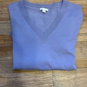 J. Jill Merino Wool V-neck Sweater
